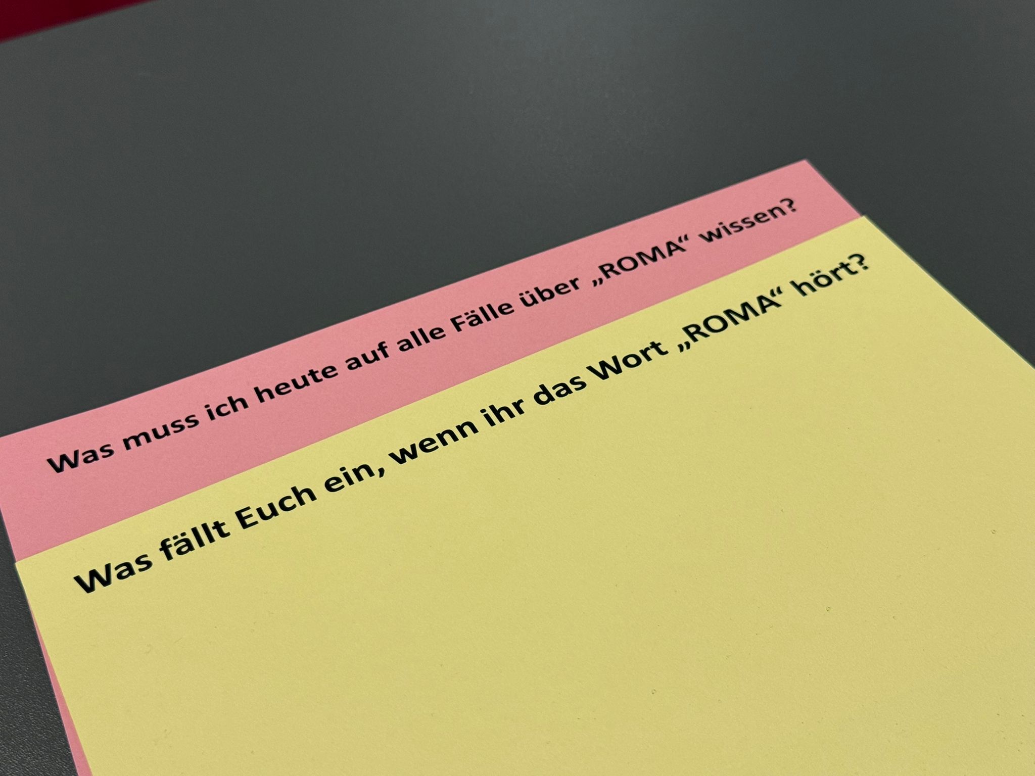 Roma Sensibilisierungsworkshop